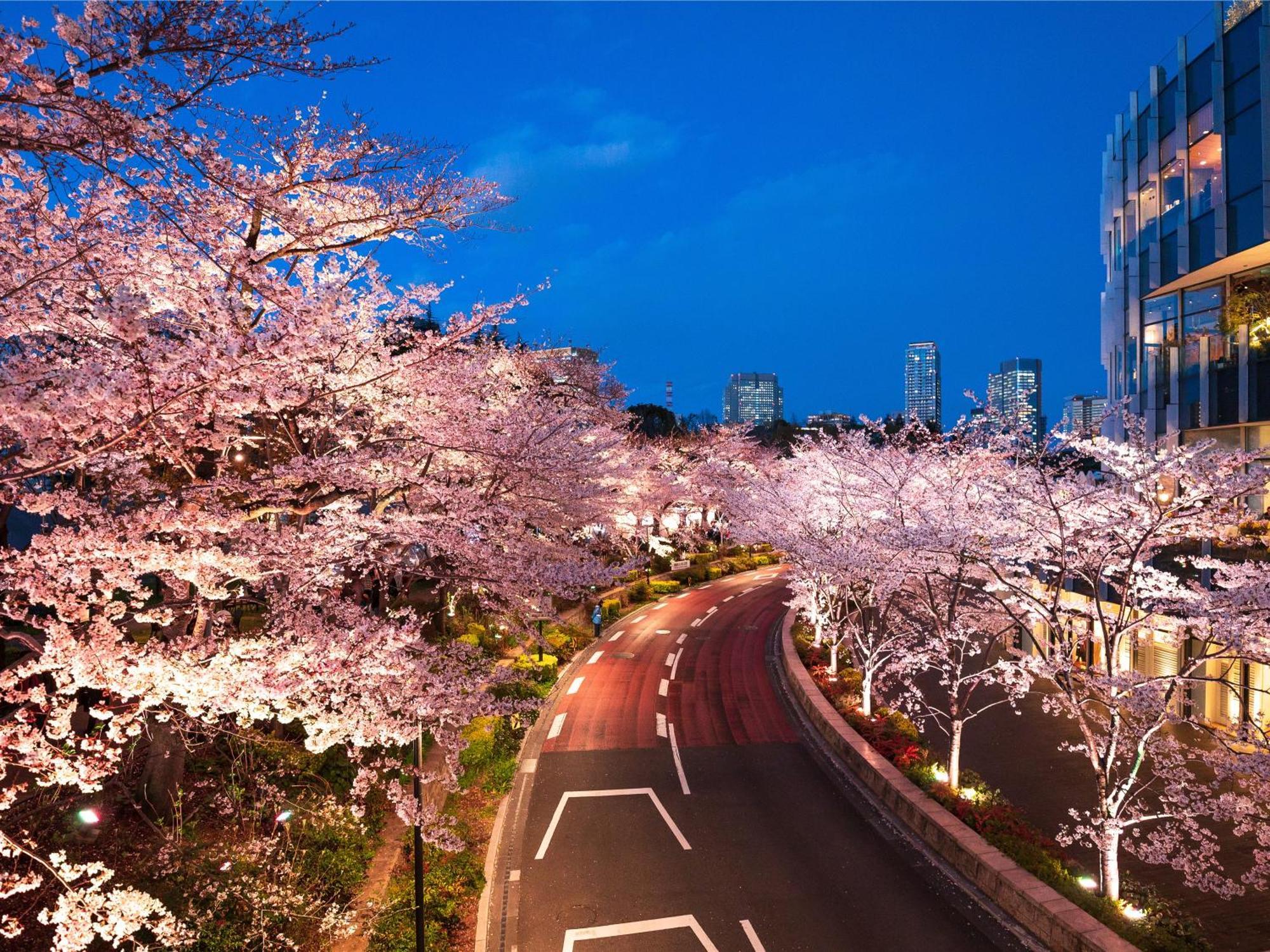 Hotel Mimaru Tokyo Akasaka Exterior foto